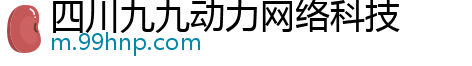 四川九九动力网络科技